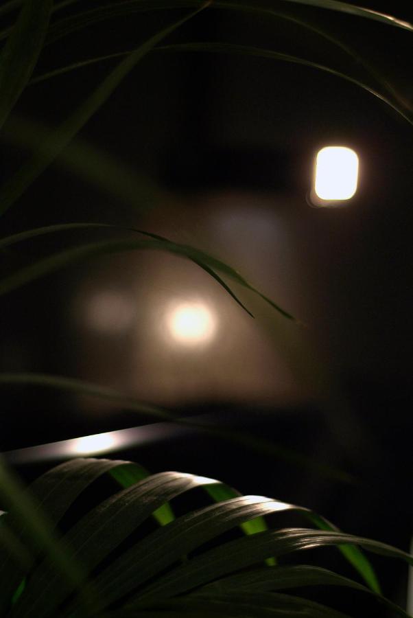 Motel Flamingo Perafita ภายนอก รูปภาพ